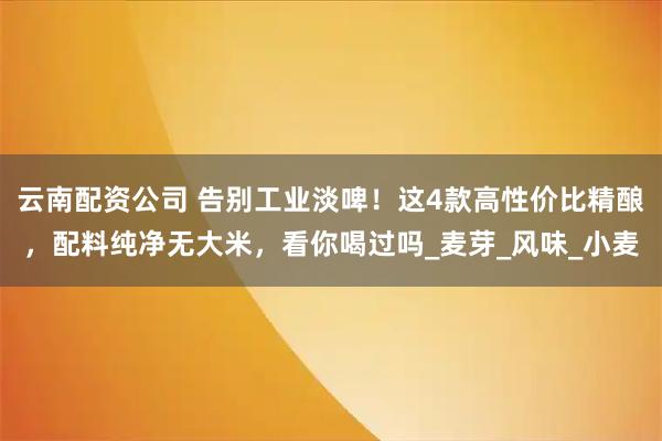 云南配资公司 告别工业淡啤！这4款高性价比精酿，配料纯净无大米，看你喝过吗_麦芽_风味_小麦